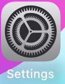 iPhone Settings icon